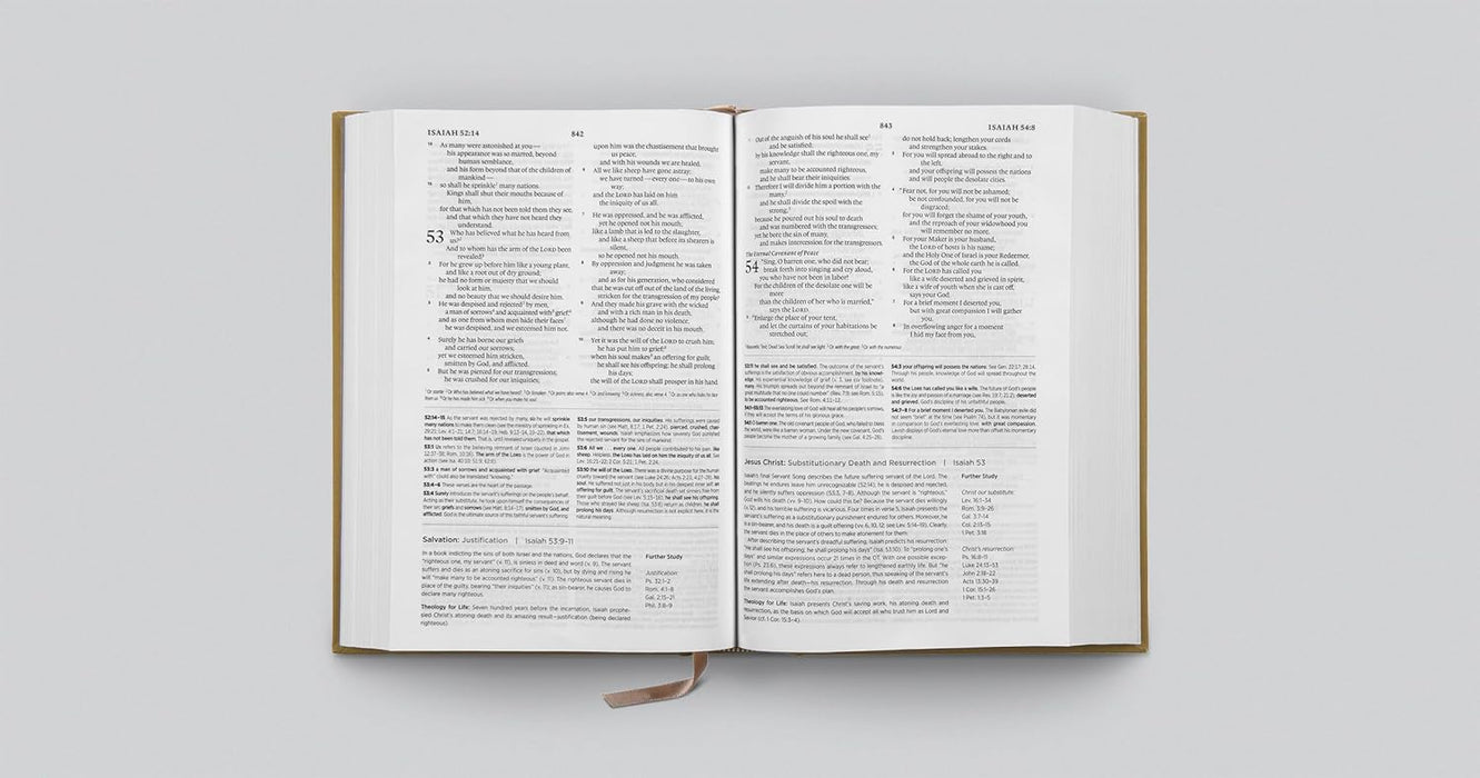 ESV Systematic Theology Study Bible