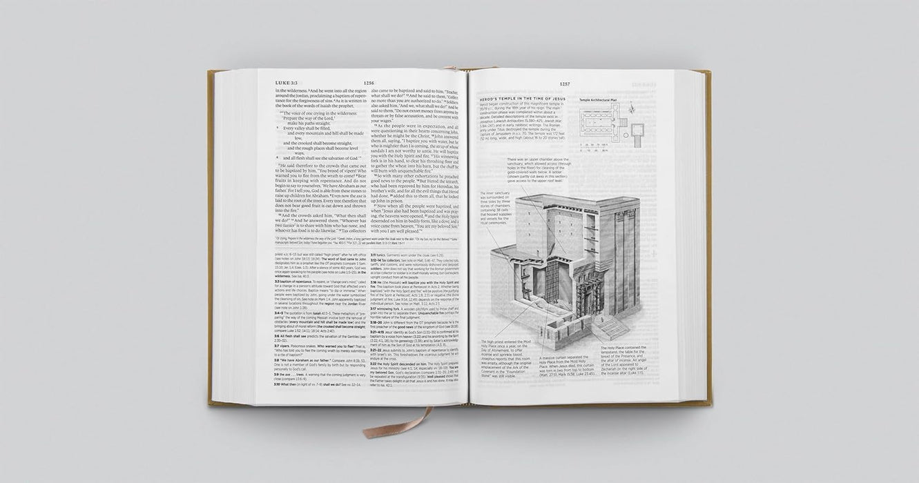 ESV Systematic Theology Study Bible