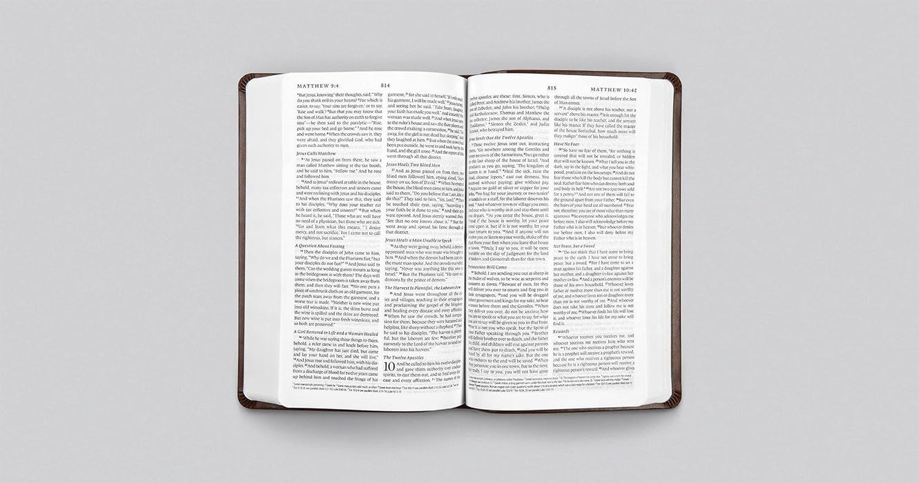 ESV Premium Gift Bible (Brown Trutone)