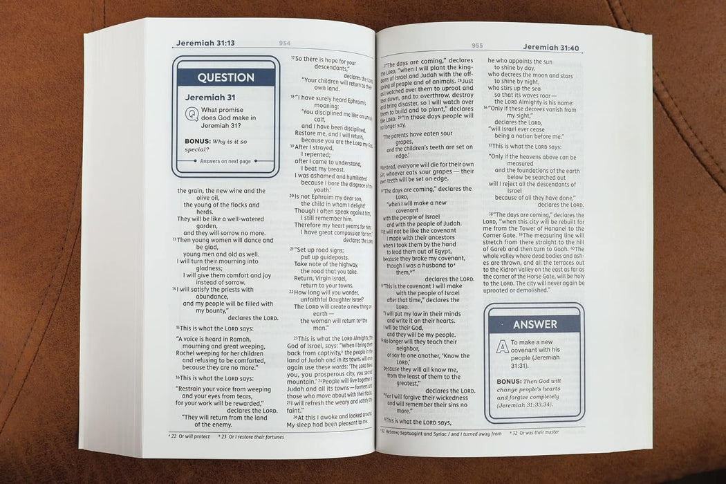 NIV Teen Study Bible
