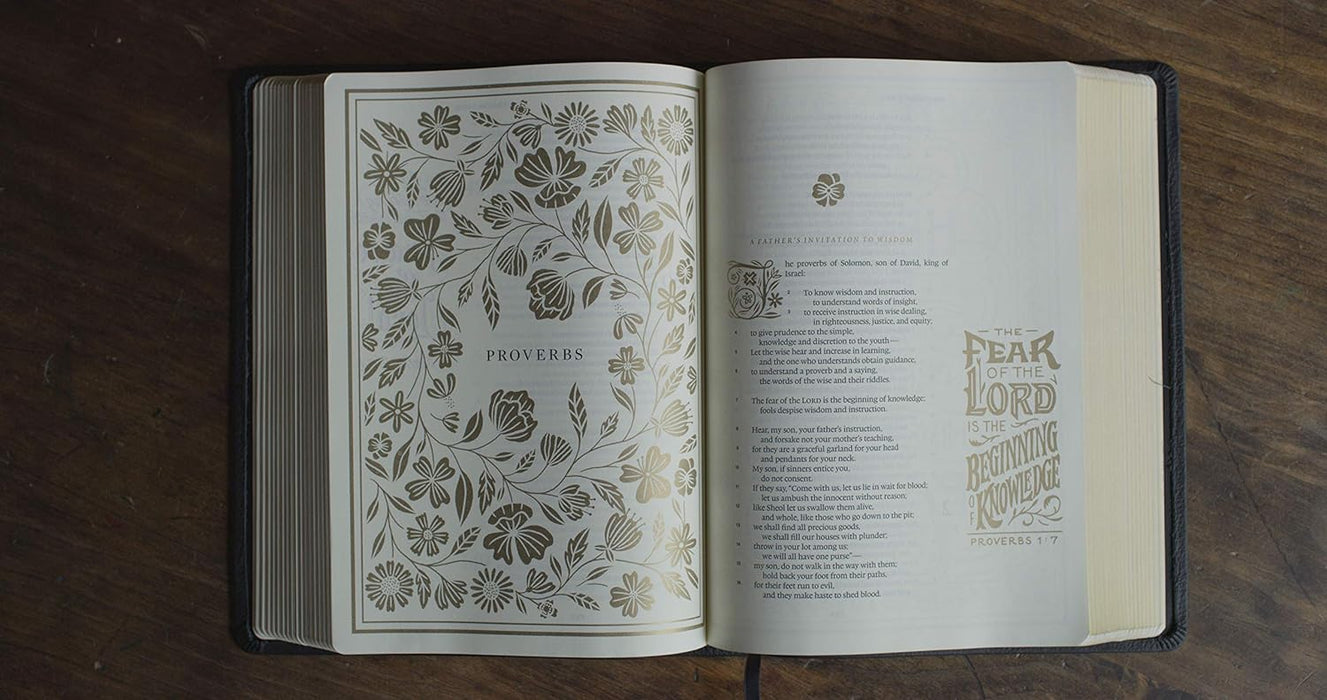 ESV Illuminated Bible, Art Journaling Edition (Green Hardcover)