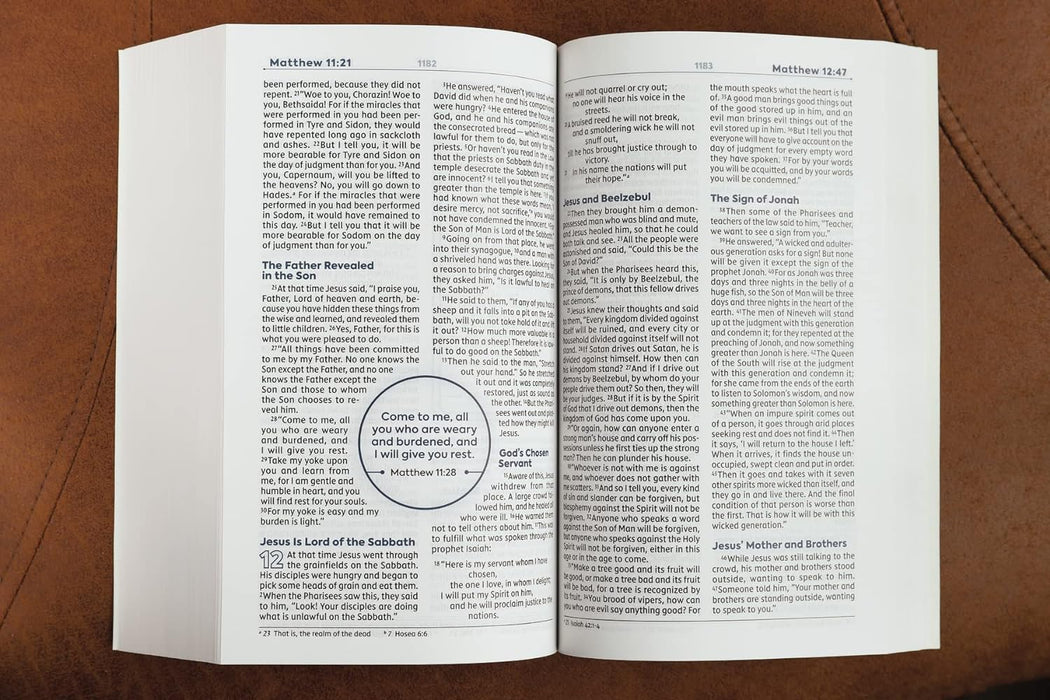 NIV Teen Study Bible