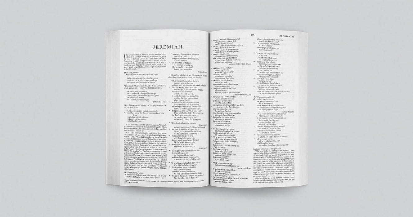 ESV Economy Bible, Blue Softcover