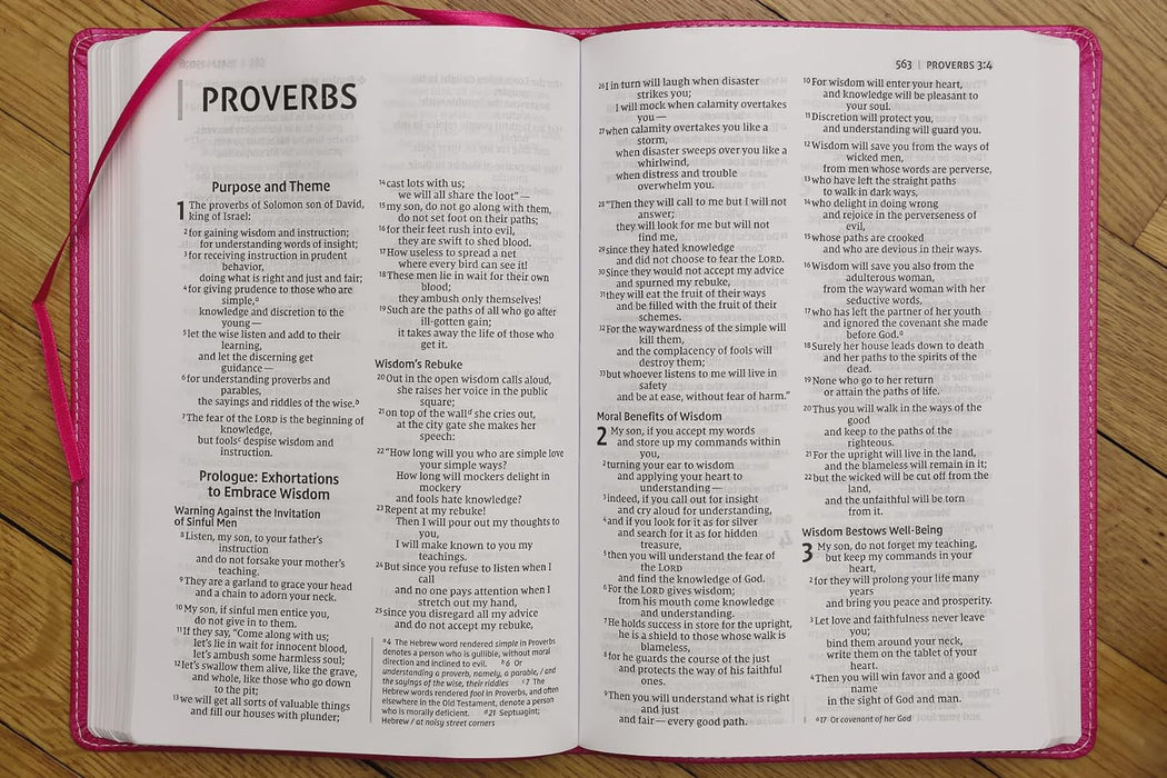 Large Print NIV Bible for Kids (Pink Leathersoft)