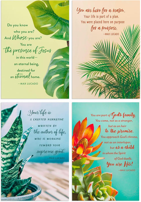 Dayspring Boxed Birthday Cards - Max Lucado