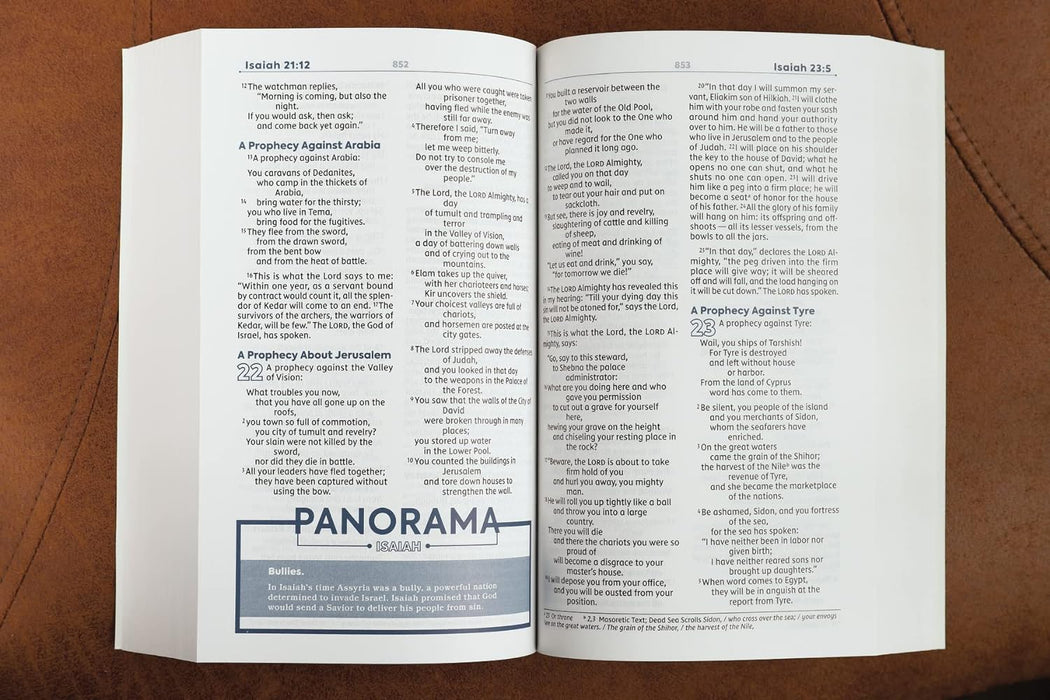 NIV Teen Study Bible