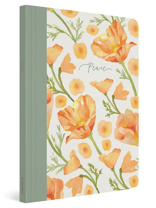 ESV Prayer Journal: 30 Days on Peace - Softcover