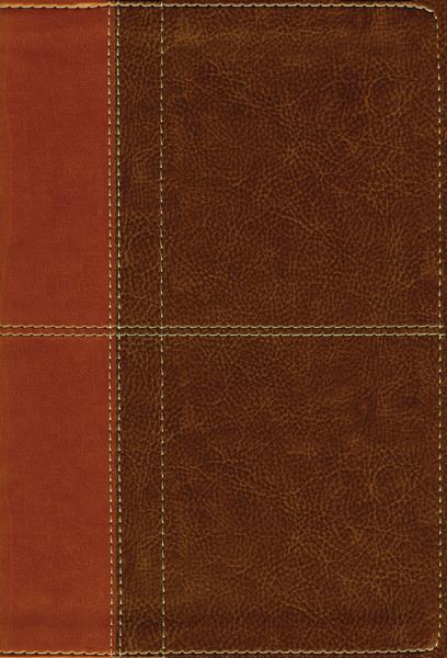NIV Life Application Study Bible