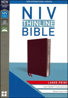 NIV Thinline Bible Large Print