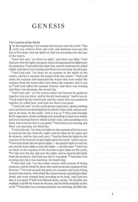 ESV Single Column Journaling Bible