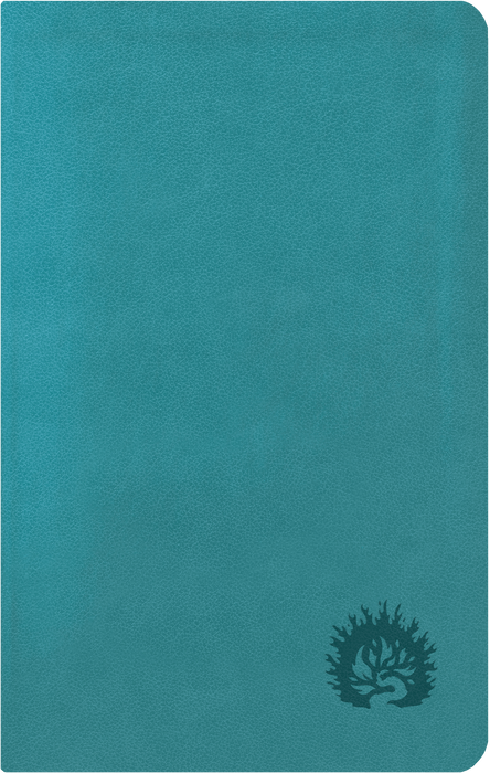 ESV Reformation Study Bible, Condensed Edition, Turquoise