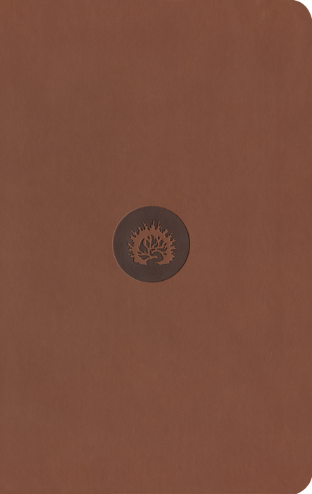 ESV Reformation Study Bible, Student Edition, Brown