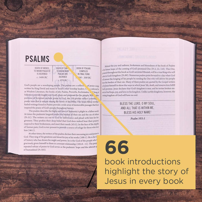 ESV Jesus Bible (Hardcover)