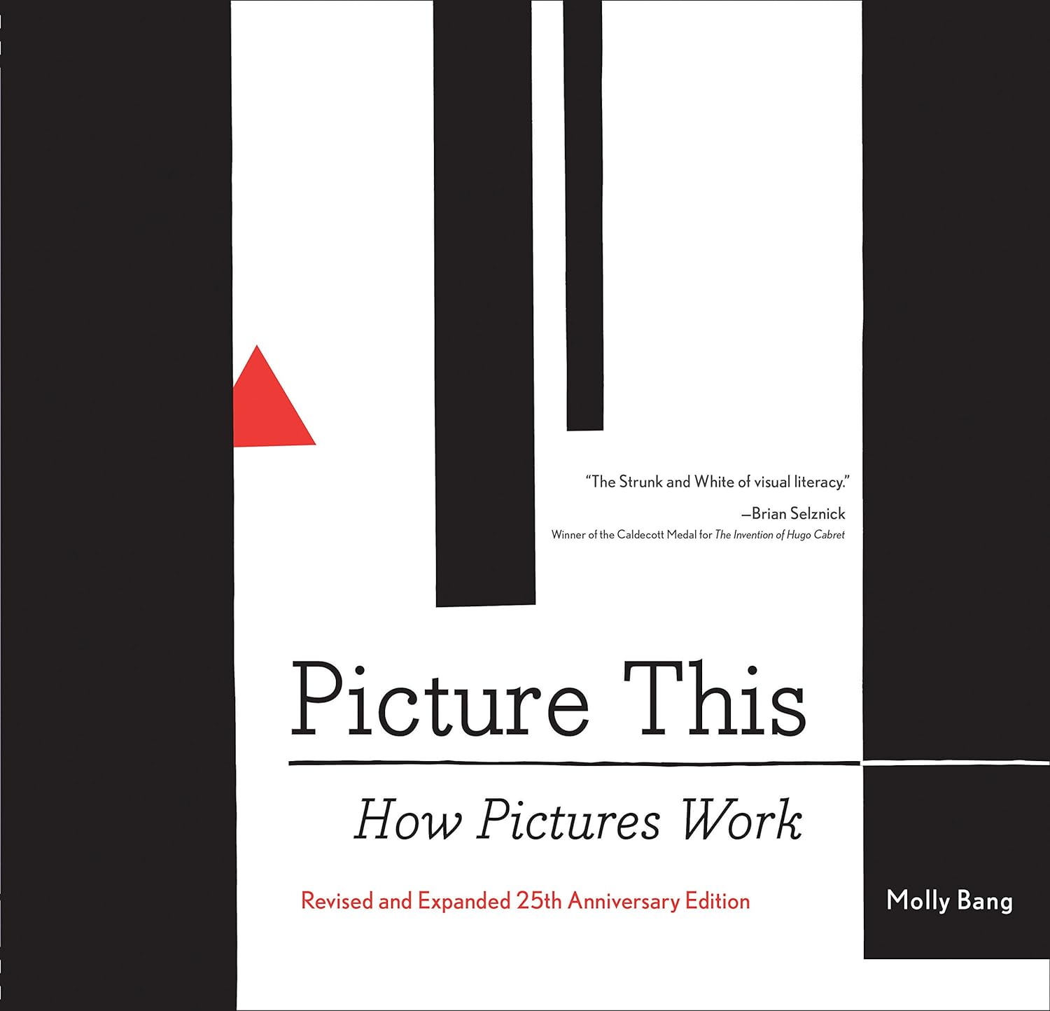 Picture This: How Pictures Work, Revised Edition