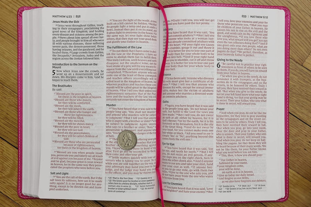 Large Print NIV Bible for Kids (Pink Leathersoft)
