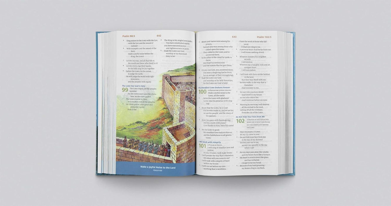 ESV Children's Bible (Blue Hardcover)