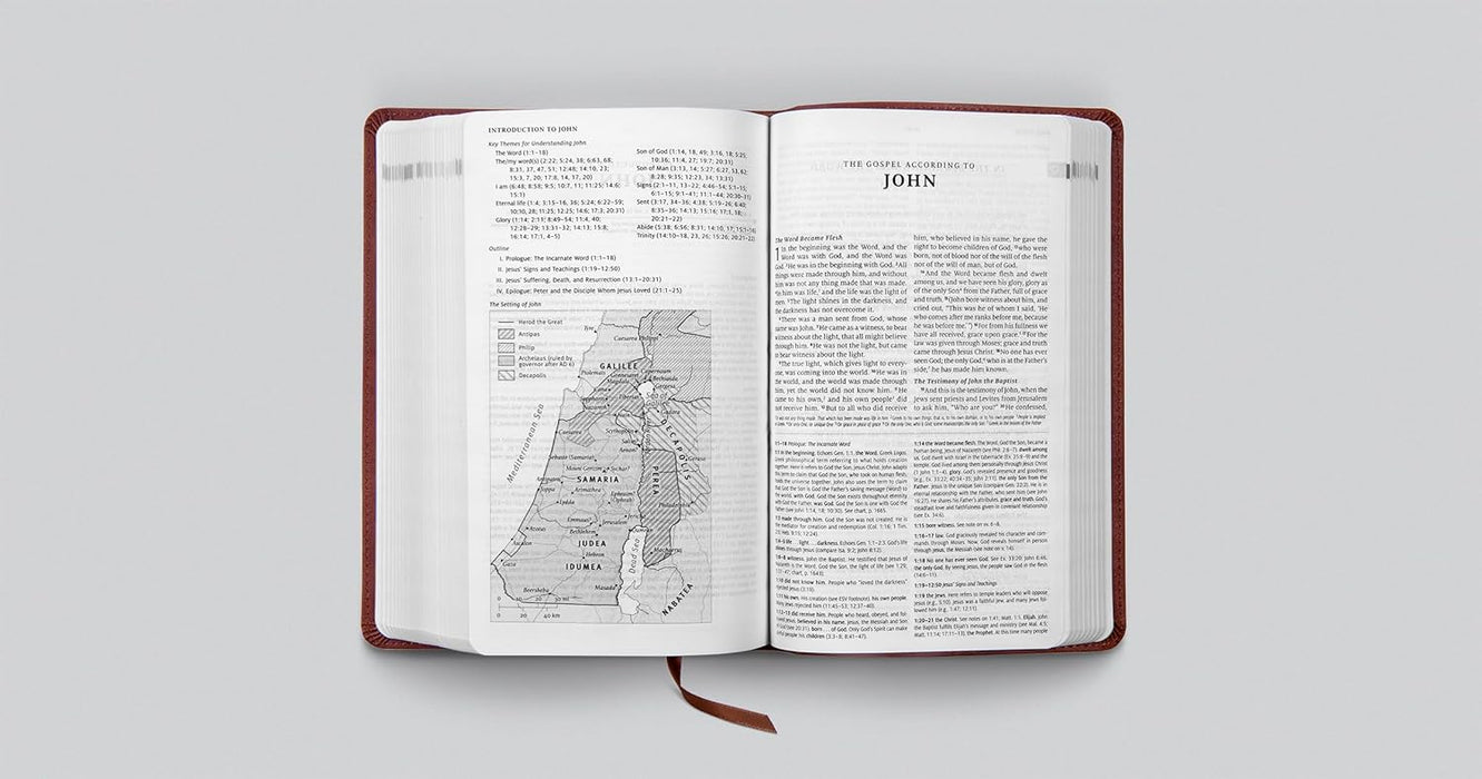 ESV Teen Study Bible (Imitation Leather)