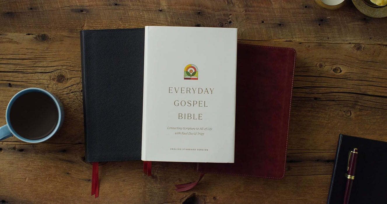 ESV Everyday Gospel Bible: Connecting Scripture to All of Life