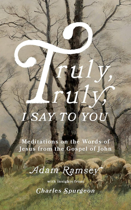 Truly, truly, I Say to You: Meditations on the Words of Jesus from the Gospel of John