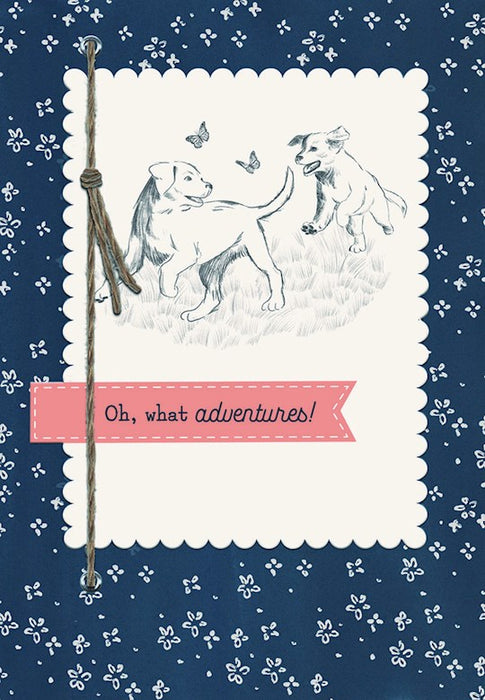 Birthday Card - Oh What Adventures!