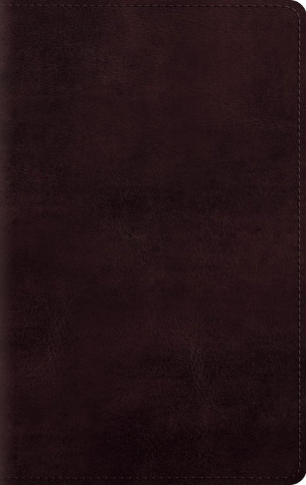 ESV Large Print Personal Size Bible - Mahogany Trutone