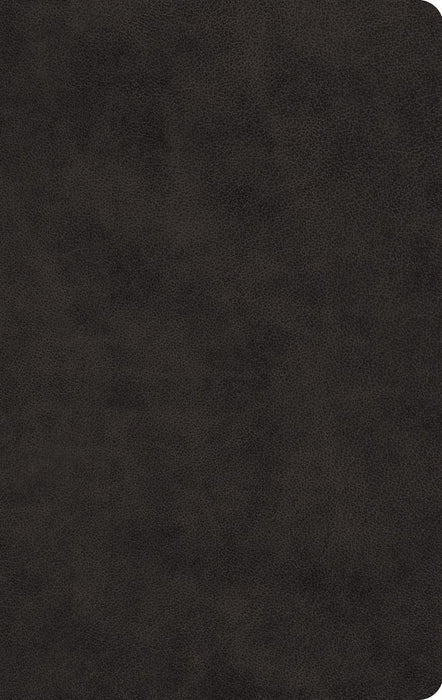 ESV Large Print Value Thinline Bible - Black Trutone
