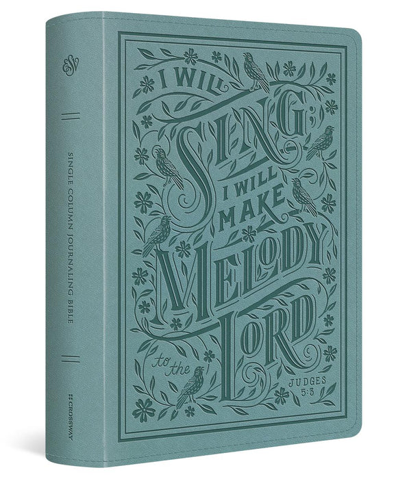 ESV Single Column Journaling Bible - Large Print - Paris Sky, Judges 5:3