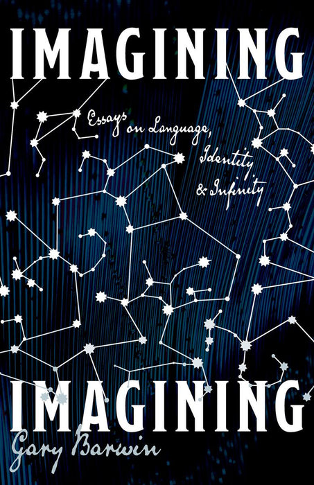 Imagining Imagining: Essays on Language, Identity and Infinity |
