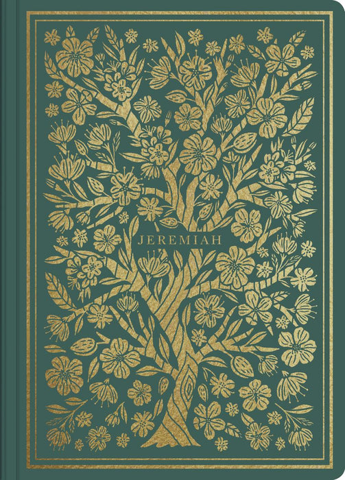 ESV Illuminated Scripture Journal (See books listed)