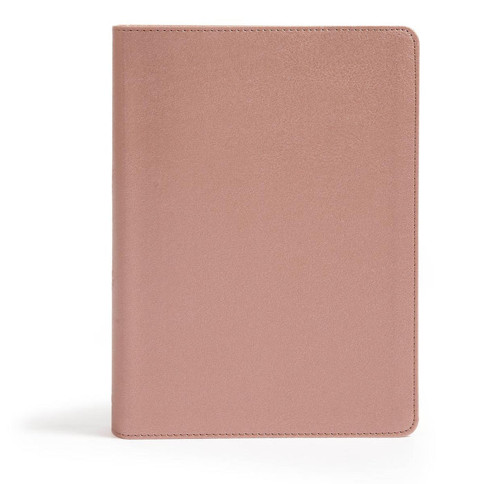 CSB - She Reads Truth Bible - Mauve / Rose Leathertouch