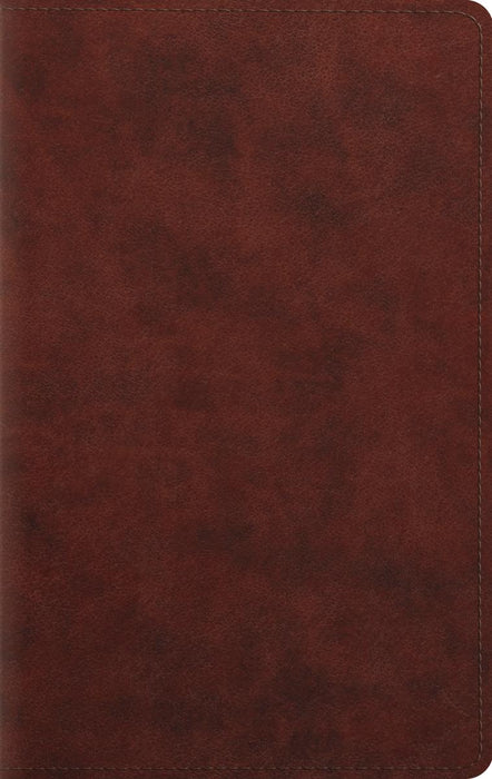 ESV Large Print Personal Size Bible - Chestnut Trutone