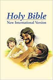 Holy Bible NIV Children's Edition