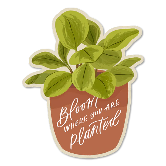 Stickers by Selah Paper