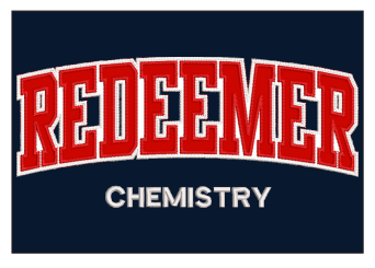 Chemistry Program Hoodie