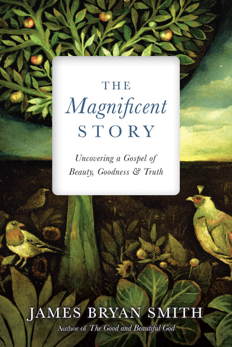 The Magnificent Story: Uncovering a Gospel of Beauty, Goodness, and Truth